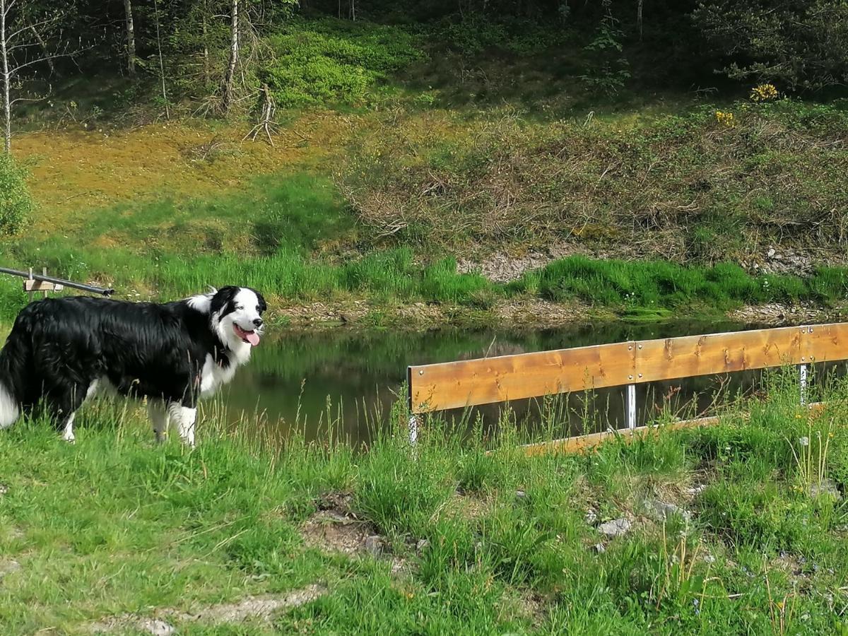 Ferienwohungen Im Kuchersbach Hornberg Extérieur photo