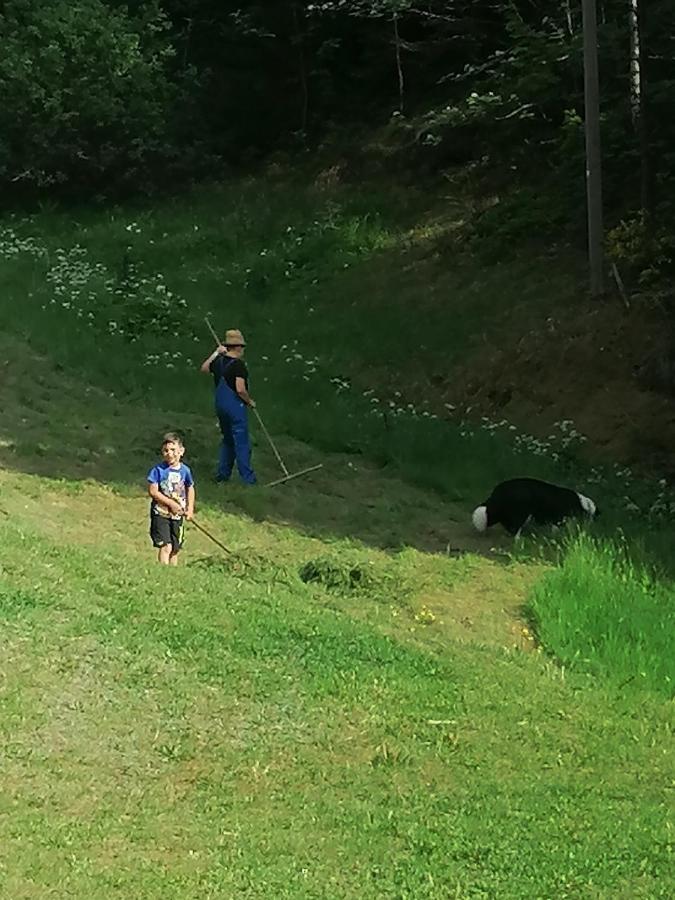 Ferienwohungen Im Kuchersbach Hornberg Extérieur photo