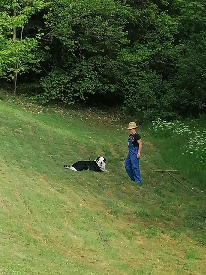 Ferienwohungen Im Kuchersbach Hornberg Extérieur photo